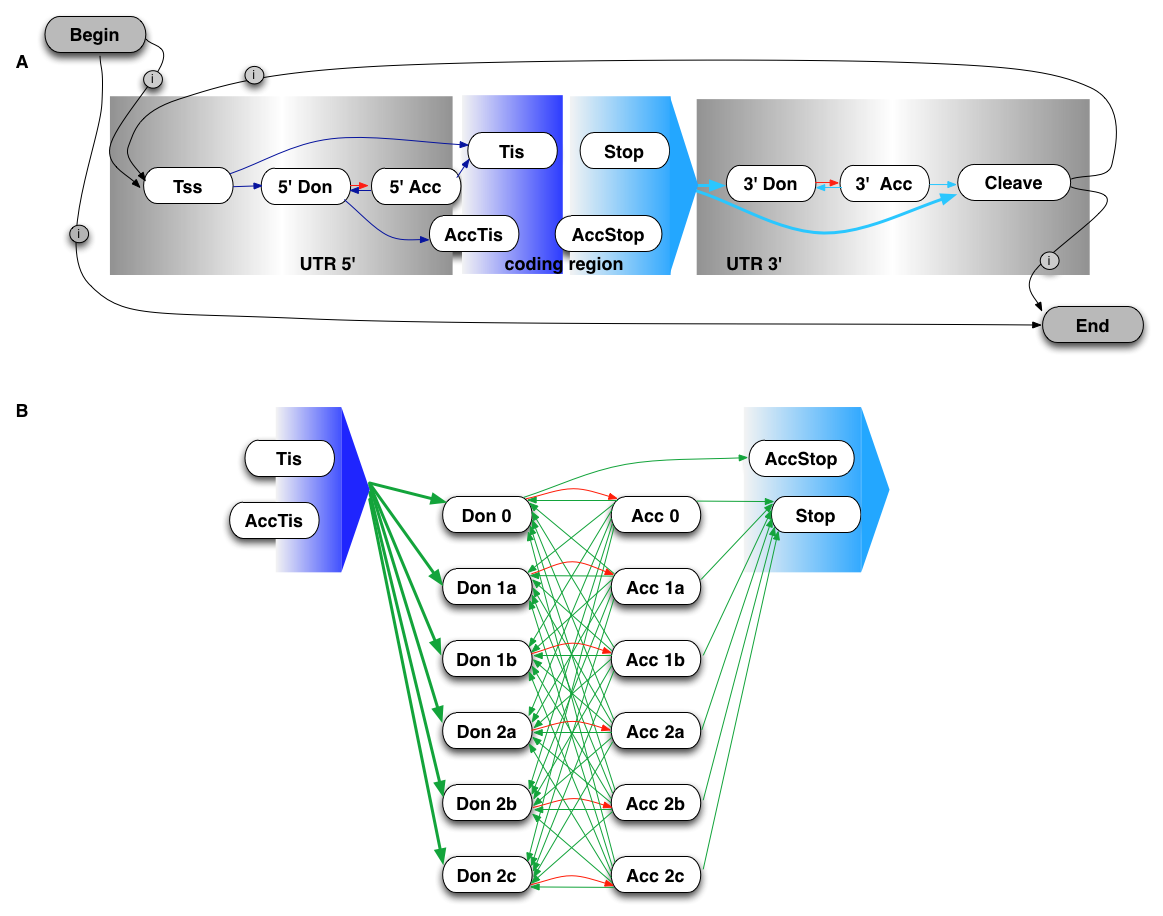 mGene.web state model