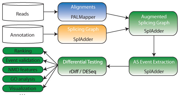 NMD pipeline